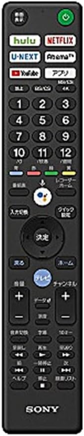 Universal TV Remote